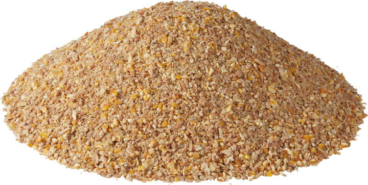GoldDott Eier Vollkorn